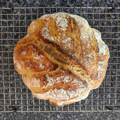 Making bread without yeast: a lesson in patience