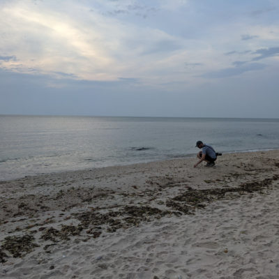 NY Summer 2021: beaches