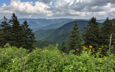 NC Mountains Summer 2021: Blue Ridge Parkway