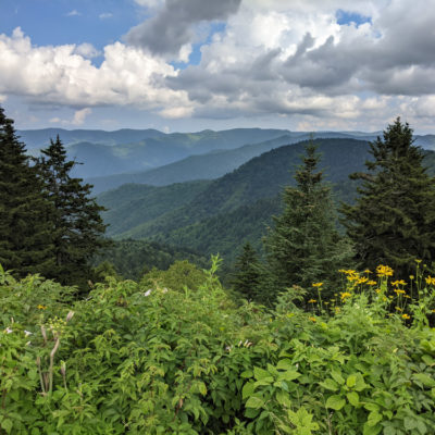NC Mountains Summer 2021: Blue Ridge Parkway