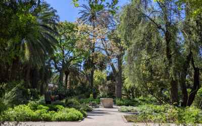 Spain 2022: Valencia gardens