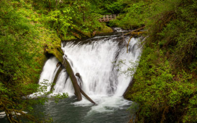 Pacific Northwest, June 2022: Oregon waterfalls