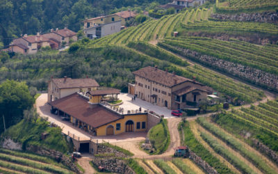 Italy 2023: wine tasting in Veneto and Lombardy