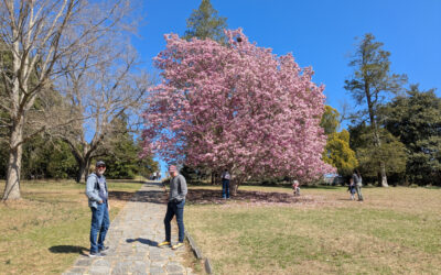 Richmond, March 2025