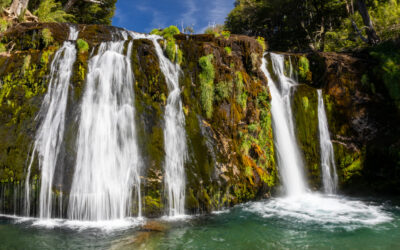 Villa la Angostura: Seven Lakes Route + San Martin de los Andes