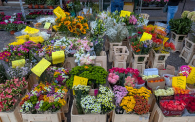 Euro Trip 2025: Bologna markets and supermarkets