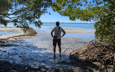 Florida 2026: Sun Coast sites