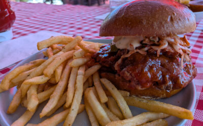 Florida 2026: Gainesville food & drink