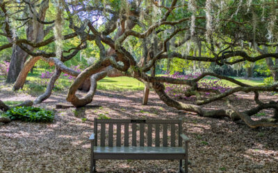 Wilmington, April 2026