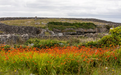 Leandra’s 50th: daytrip to Inis Mór